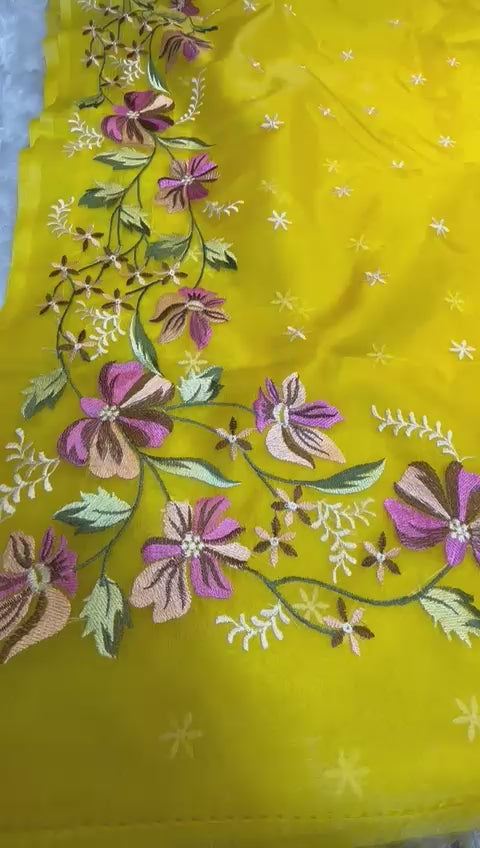 Banarasi Kora Organza